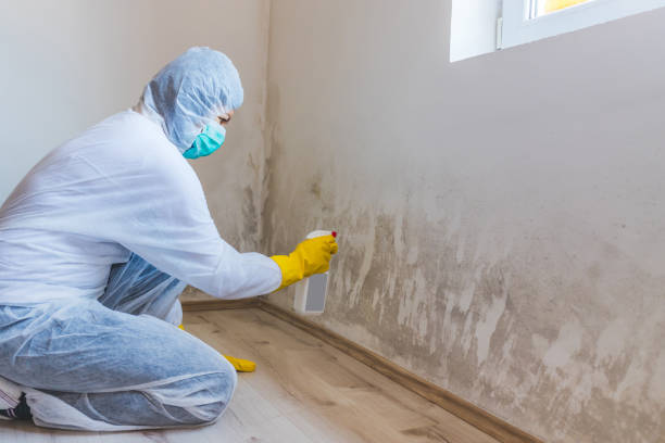 Hvac And Air Duct Mold Remediation inspection of HVAC system in Brooklyn